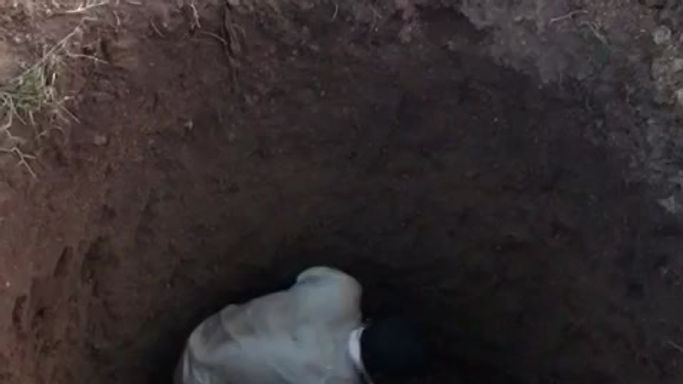 WhatsApp Video 2024-01-31 at 6.15.43 PM